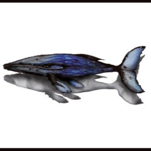 NAPPE RECTANGLE "BALENA"