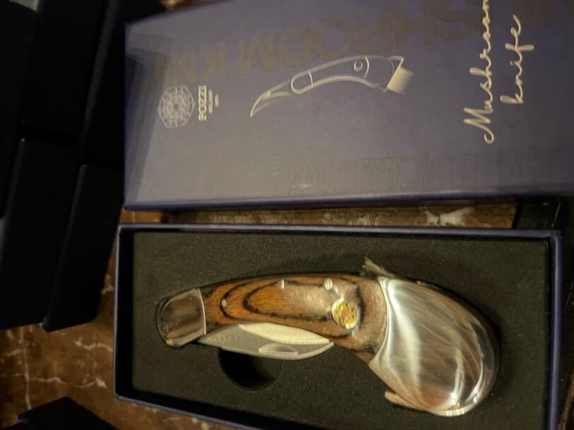 COUTEAU A CHAMPIGNON ET SA BOITE