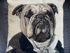 COUSSIN BOULEDOGUE