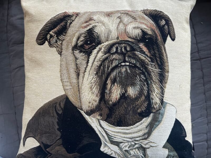 COUSSIN BOULEDOGUE