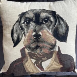 coussin-teckel-a-poils-durs